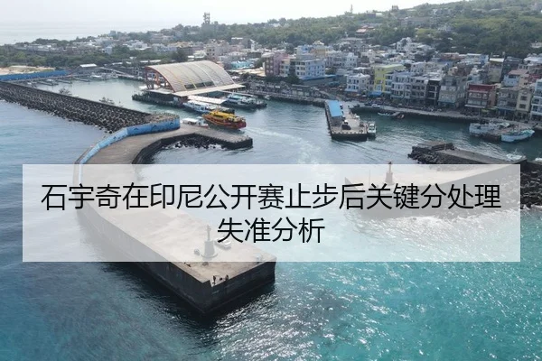 石宇奇在印尼公开赛止步后关键分处理失准分析